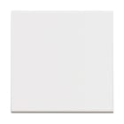 BTICINO - Interruptor 1P 10AX 250Vca no iluminable 2 módulos con soporte + placa embellecedora blanco