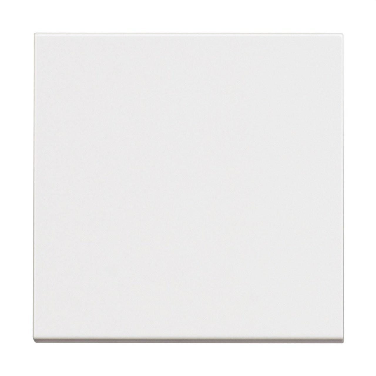 BTICINO - Cruzamiento 1P 10AX 250Vca no iluminable 2 módulos con soporte + placa embellecedora blanco
