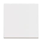 BTICINO - Cruzamiento 1P 10AX 250Vca no iluminable 2 módulos con soporte + placa embellecedora blanco