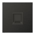 JUNG - Placa modular Jack 1 toma inscripción AL1969-15WEAN LS antracita