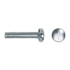 APOLO - TORNILLO ALOMADA DIN7985 M6x40mm CINCADO