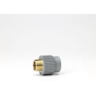 NIRON - Enlace rosca M ISO BSP NIRON PREMIUM 32x3/4" PPR soldar socket latón estándar gris RA7050
