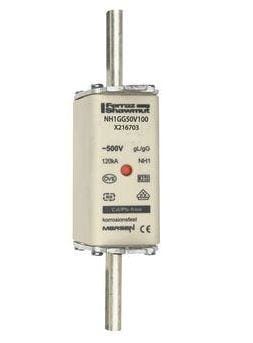FERRAZ SHAWMUT - NH 1C 100A 500V GG