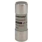 FERRAZ SHAWMUT - 690V CP 22X58 GG 40A S/I FS