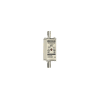 FERRAZ SHAWMUT - NH 000 80A 500V GG