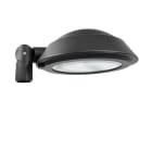 BENITO - Luminaria VIALIA EVO 24 leds 53W T3 CI premium