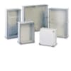 Uña del pulgar Imagen del producto 1
