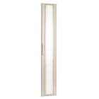 Schneider Electric - Puerta transparente IP40 pasillo lateral 33 módulos