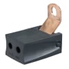 Uña del pulgar Imagen del producto 1