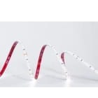 TSL - Tira flexible THER 2 SMD2835 160Led/m 11W/m 24VDC 4.000K IP67/E 1.705lm CRI>80 10mm