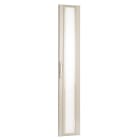 Schneider Electric - Puerta transparente IP40 pasillo lateral 30 módulos
