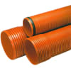 Uña del pulgar Imagen del producto 1