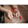 Uña del pulgar Imagen del producto 2