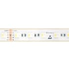 NORMALIT - Tira LED 19,2W 400lm RGBW IP67 1000mm