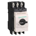 Schneider Electric - Guardamotor magnético 30-40A