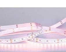 TSL - Tira flexible FOOD 1 SMD2835 120Led/m 14W/m 24VDC Carne IP20/N 700lm/m 10mm