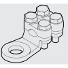 Uña del pulgar Imagen del producto 3