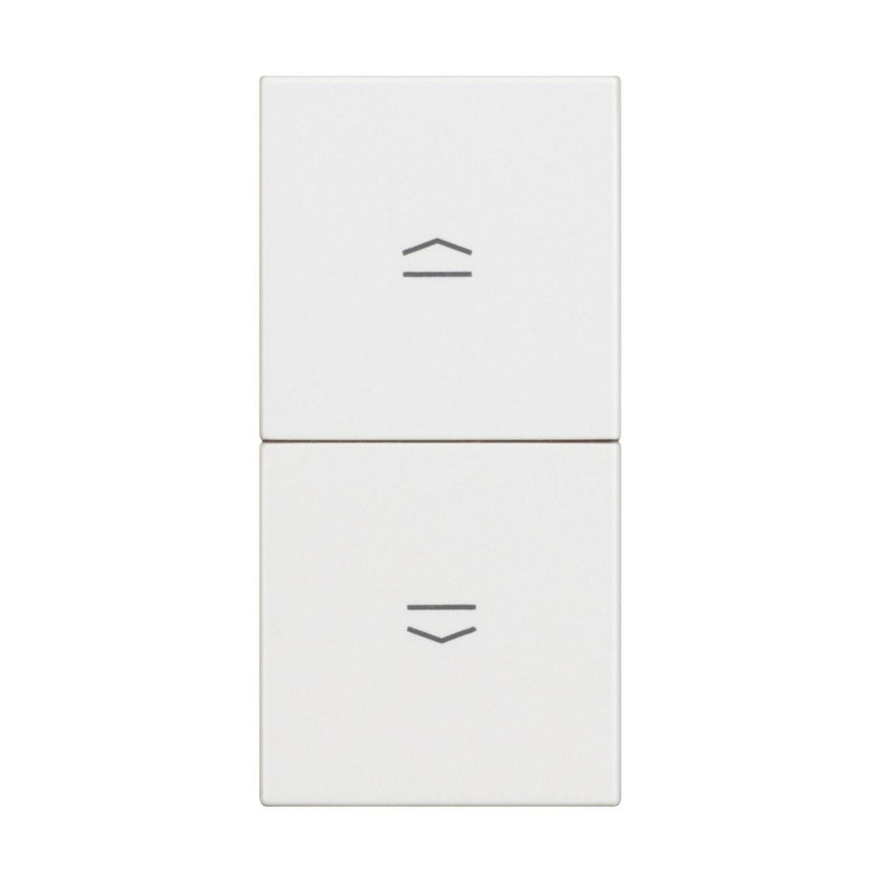 BTICINO - Pulsador doble con bloqueo mecánico 10 A-250 Vca 1 módulo con soporte + placa embellecedora blanco