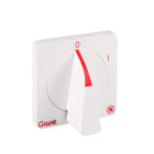 GAVE - CONJUNTO MANDO DIRECTO Y CARATULA D1 (HASTA 40A) TRATAMIENTO ANTIMICROBIANO 0-1