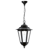 Uña del pulgar Imagen del producto 1