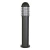 Uña del pulgar Imagen del producto 1