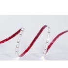 TSL - Tira flexible LYNX 11 SMD2835 140Led/m 5W/m 24VDC 3.000K IP20/N 780lm/m CRI>80 8mm