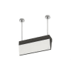 Uña del pulgar Imagen del producto 1