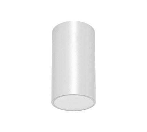 DAISALUX - Luminaria techo Lens N20 230V 1h blanco