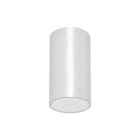 DAISALUX - Luminaria techo Lens N20 230V 1h blanco