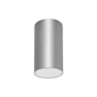 DAISALUX - Luminaria techo Lens N70 230V 1h gris plata