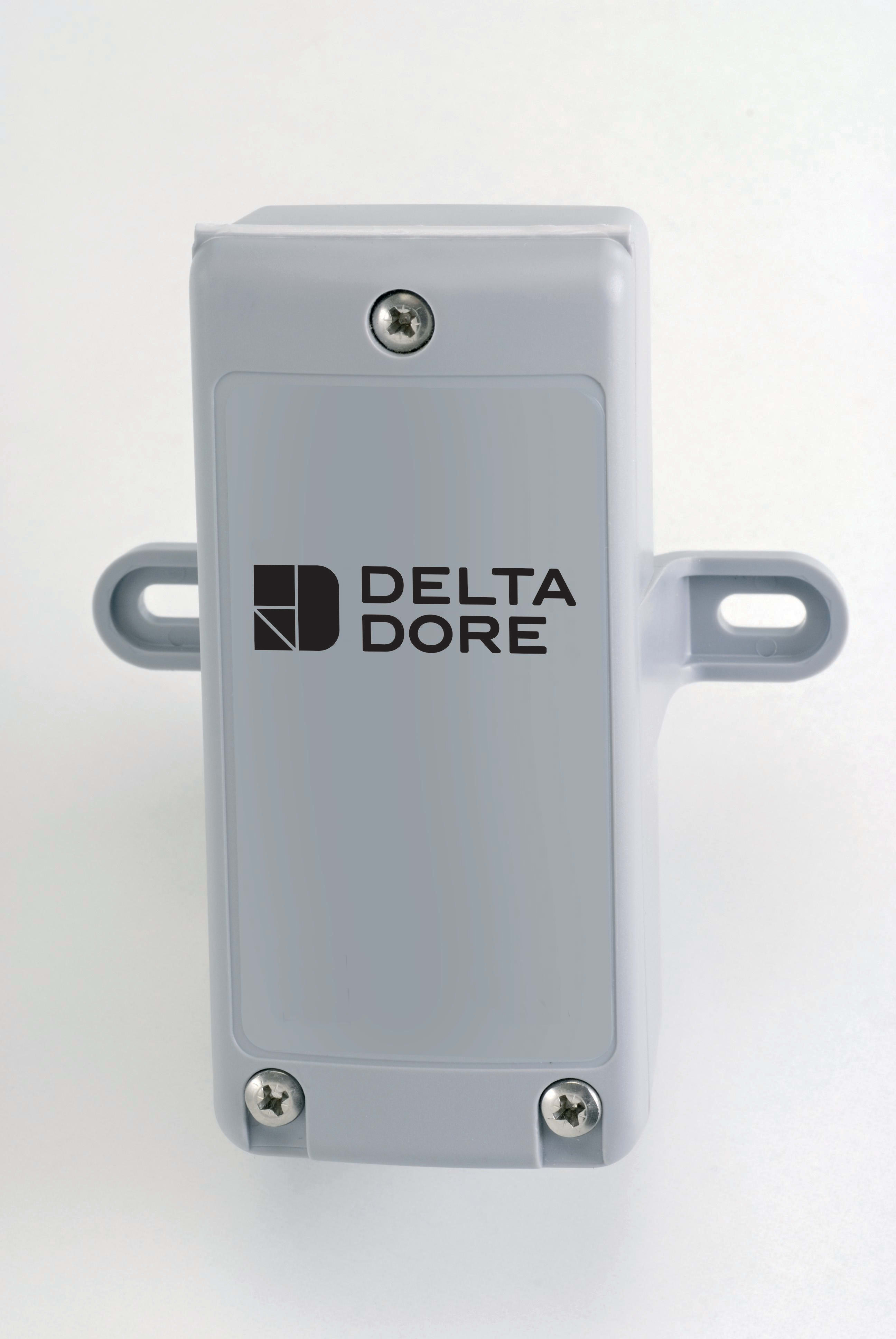 DELTA DORE - Sonda exterior radio X2D | Accesorio para termostato