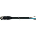 MURRELEKTRONIK - CTR.M8 H 0¿ CBL.PVC 4X0.25 NG UL/CSA 5M