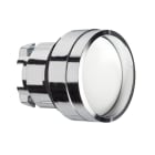 Schneider Electric - Cabeza pulsador empotrado XB4 blanco CUSTO