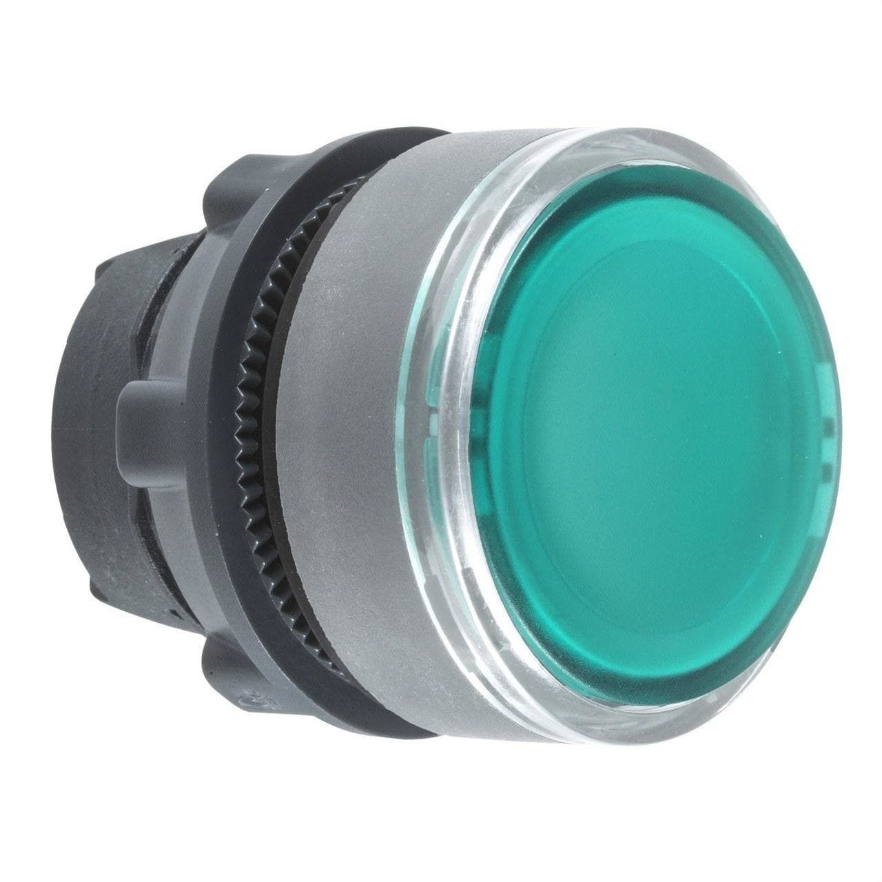 Schneider Electric - Cabeza pulsador luminoso XB5 verde LED para etiqueta gris