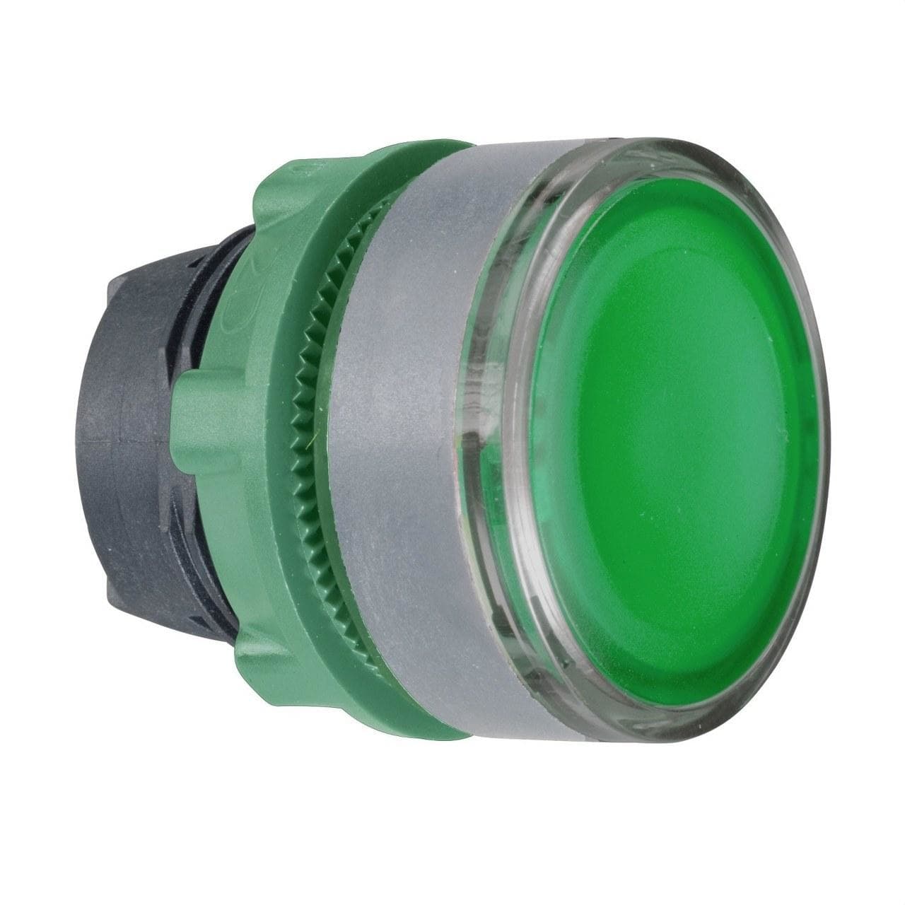 Schneider Electric - Cabeza pulsador luminoso XB5 verde LED pulsación doble gris