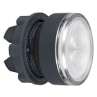 Schneider Electric - Cabeza pulsador luminoso ZB5 lente ranurada blanco LED