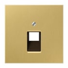 JUNG - PLACA CTRAL.T.TFCA./INFORM.LT.CLASSIC