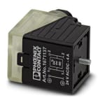 PHOENIX CONTACT - Conector de válvula SACC-V-3CON-PG9/A-1L-S
