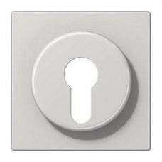 JUNG - PLACA PARA LLAVE GRIS CLARO