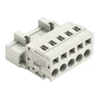 WAGO - Conector M Serie 721 conexión CAGE CLAMP paso 5mm 5P