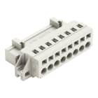 WAGO - Conector M Serie 721 conexión CAGE CLAMP + brida 5mm 8P