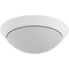 Uña del pulgar Imagen del producto 2