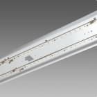 DISANO - Luminaria vial 995 FORMA LED 61W CLD CELL P.CABLEADO