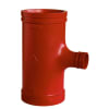 Uña del pulgar Imagen del producto 1