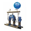 Uña del pulgar Imagen del producto 1