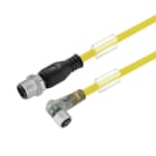 WEIDMULLER - Cable SAIL-M12GM8W-3L1.5UGE para sensores y actuadores