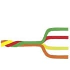 EGI - Cable 4 conducto para 1 canal