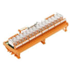 WEIDMULLER - Módulo RSM-16  24V(-/+) 1CO S