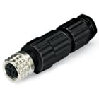 WAGO - CONECTOR M8 H 3P RECTO
