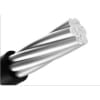Uña del pulgar Imagen del producto 1